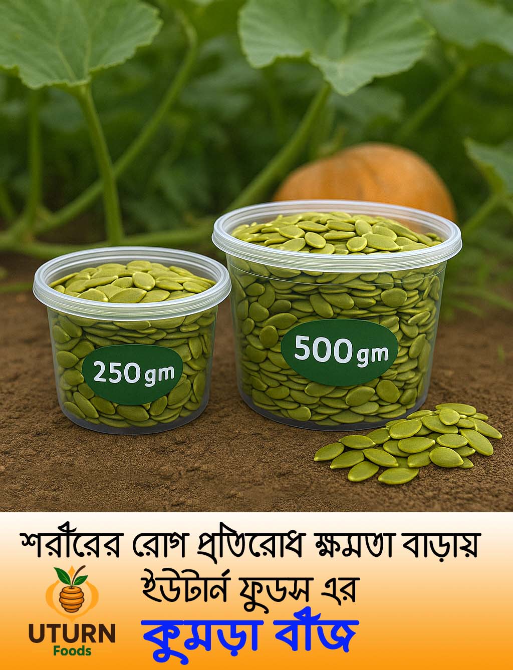 কুমড়া বীজ (Pumpkin Seeds)